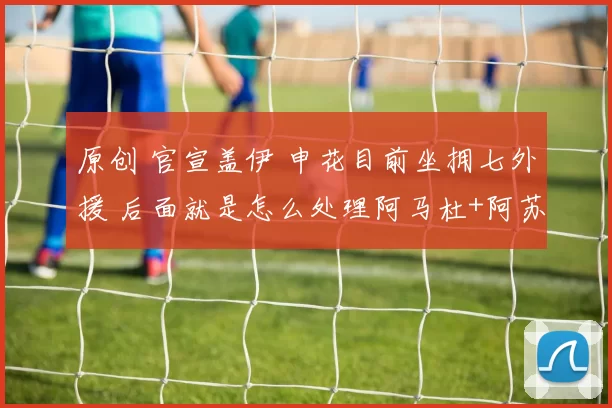 原创 官宣盖伊 申花目前坐拥七外援 后面就是怎么处理阿马杜+阿苏埃