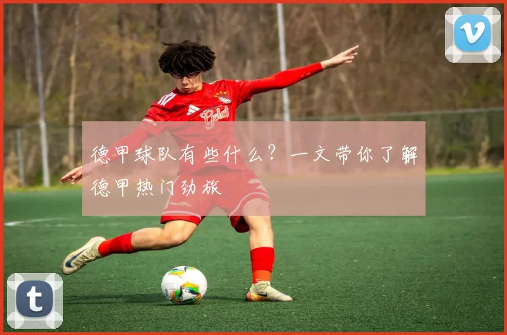德甲球队有些什么?一文带你了解德甲热门劲旅