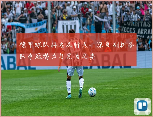 德甲球队排名及特点，深度剖析各队夺冠潜力与黑马之姿