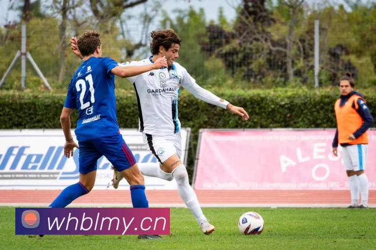 德甲降级赔率：背后的玄机与球队命运走向